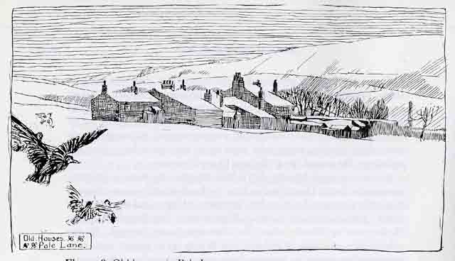 morton pole lane image.jpg