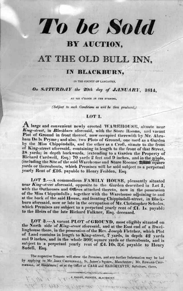 the old Bull3.jpg