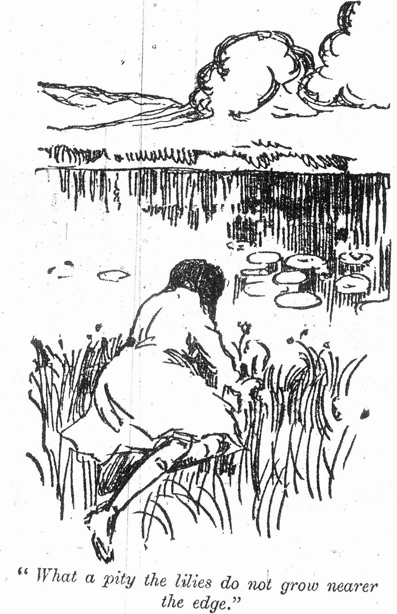 Waterlilies dorothy stirrup.jpg