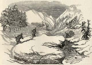 jessica winter in the west.jpg