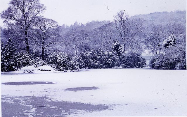 Pond.jpg