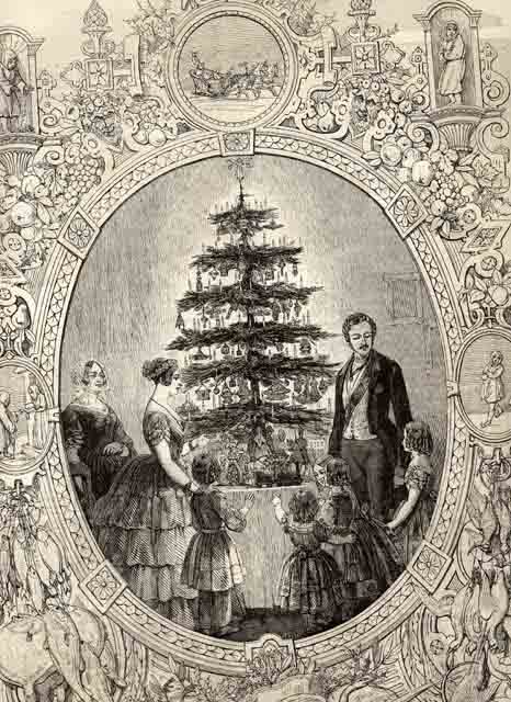 christmas tree.jpg