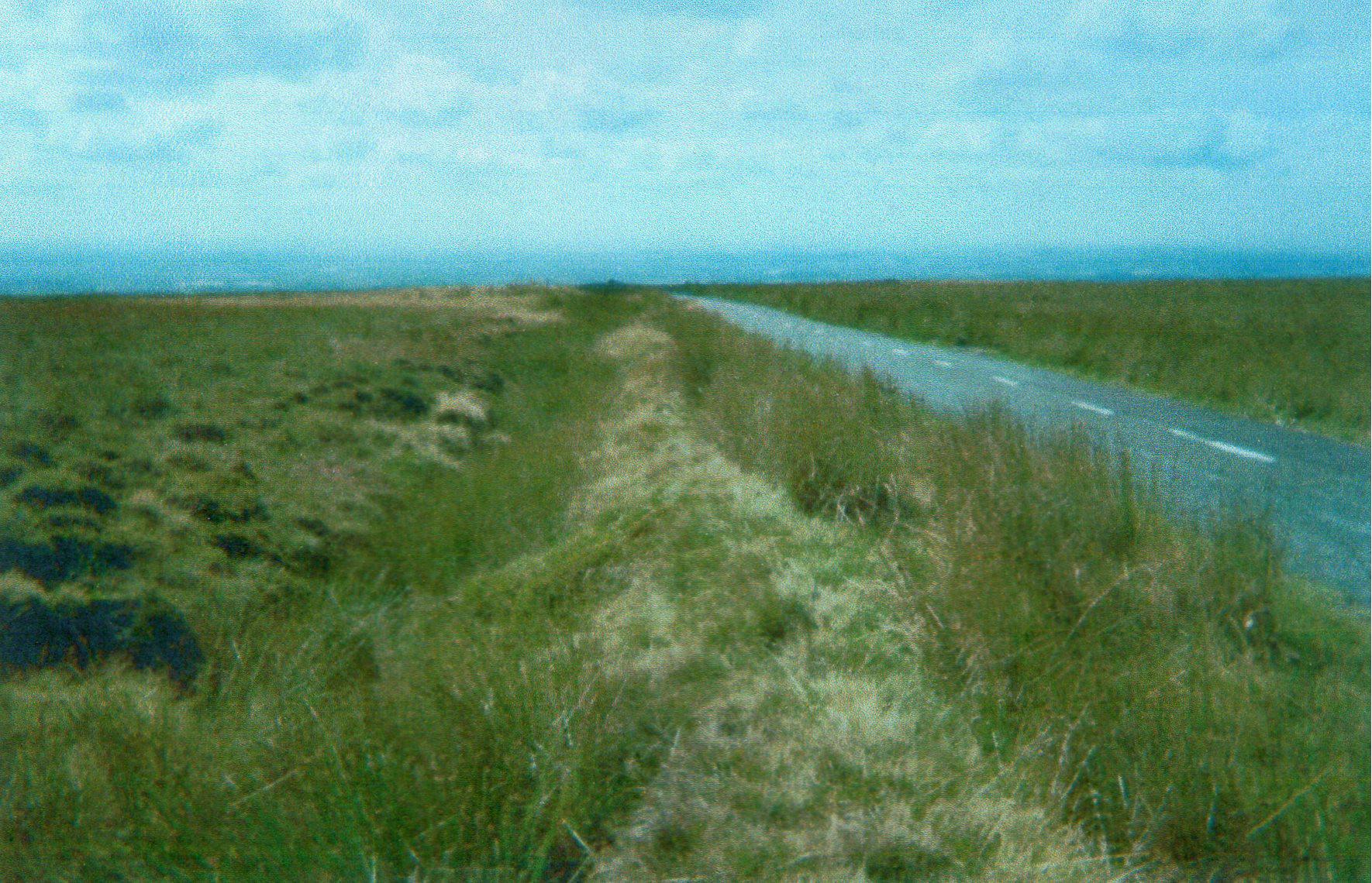 image 7 ct.jpg