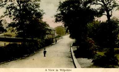 003 a view in wilpshire005 ON ct.jpg