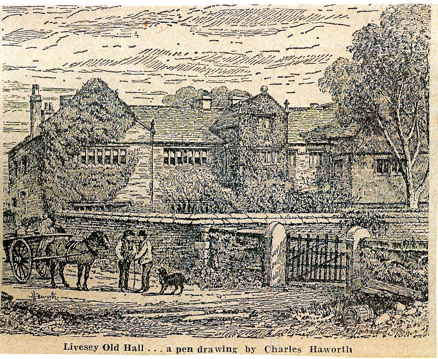 003 livesey hall 003 ct.jpg