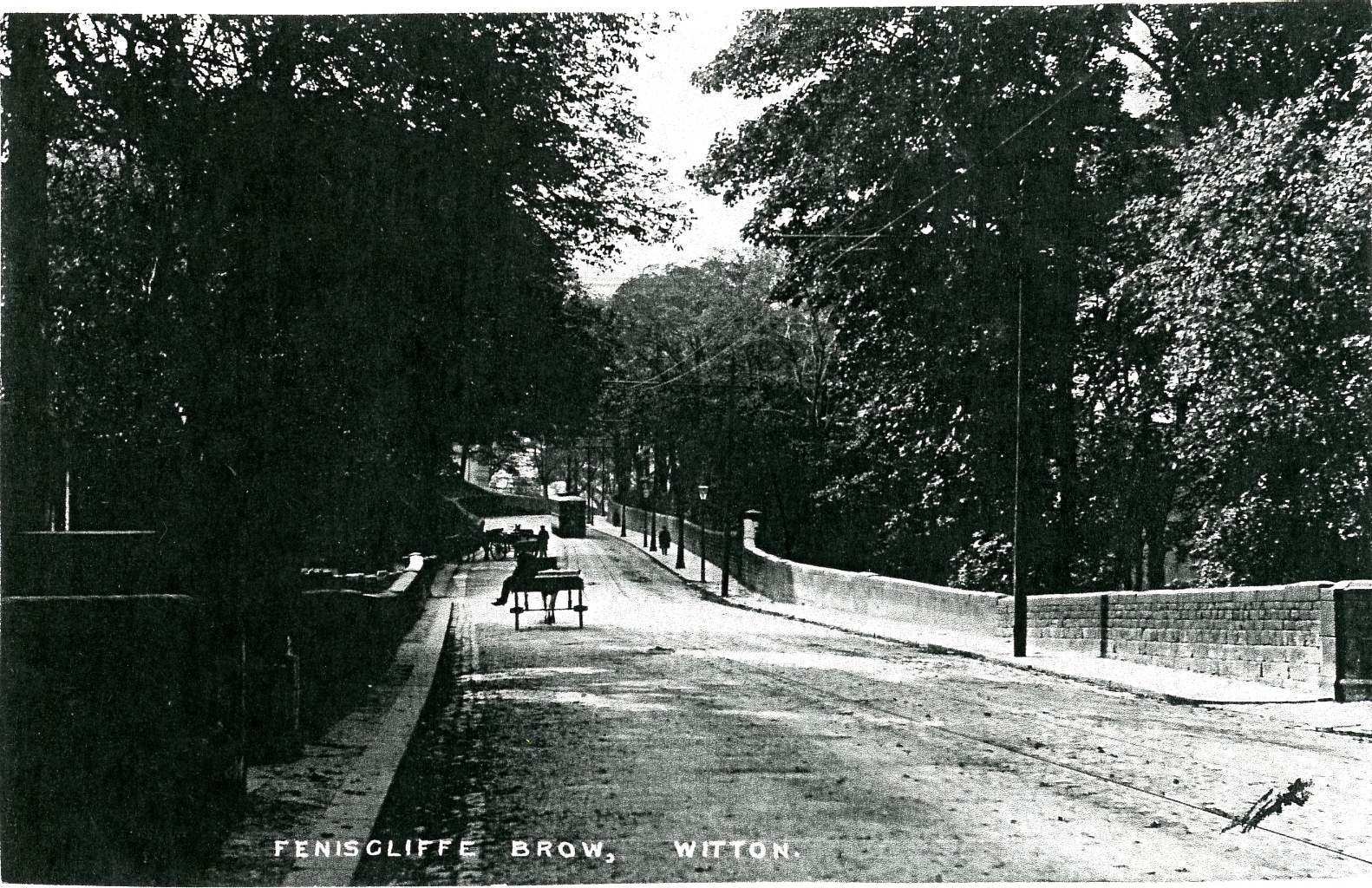 006 feniscliffe brow 006  CT.jpg