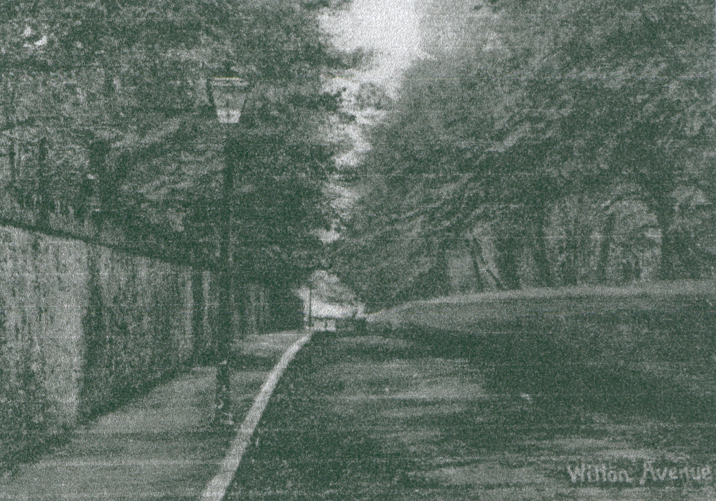 007 witton avenue.jpg