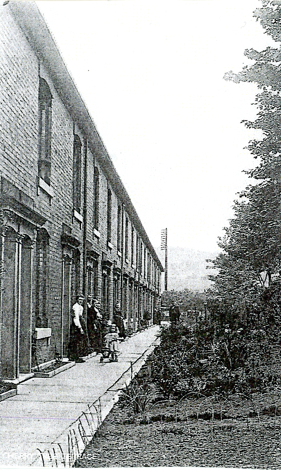 012 Cherry Tree Terrace 012 ct.jpg