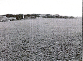 017 view in Wilpshire 020ONct.jpg