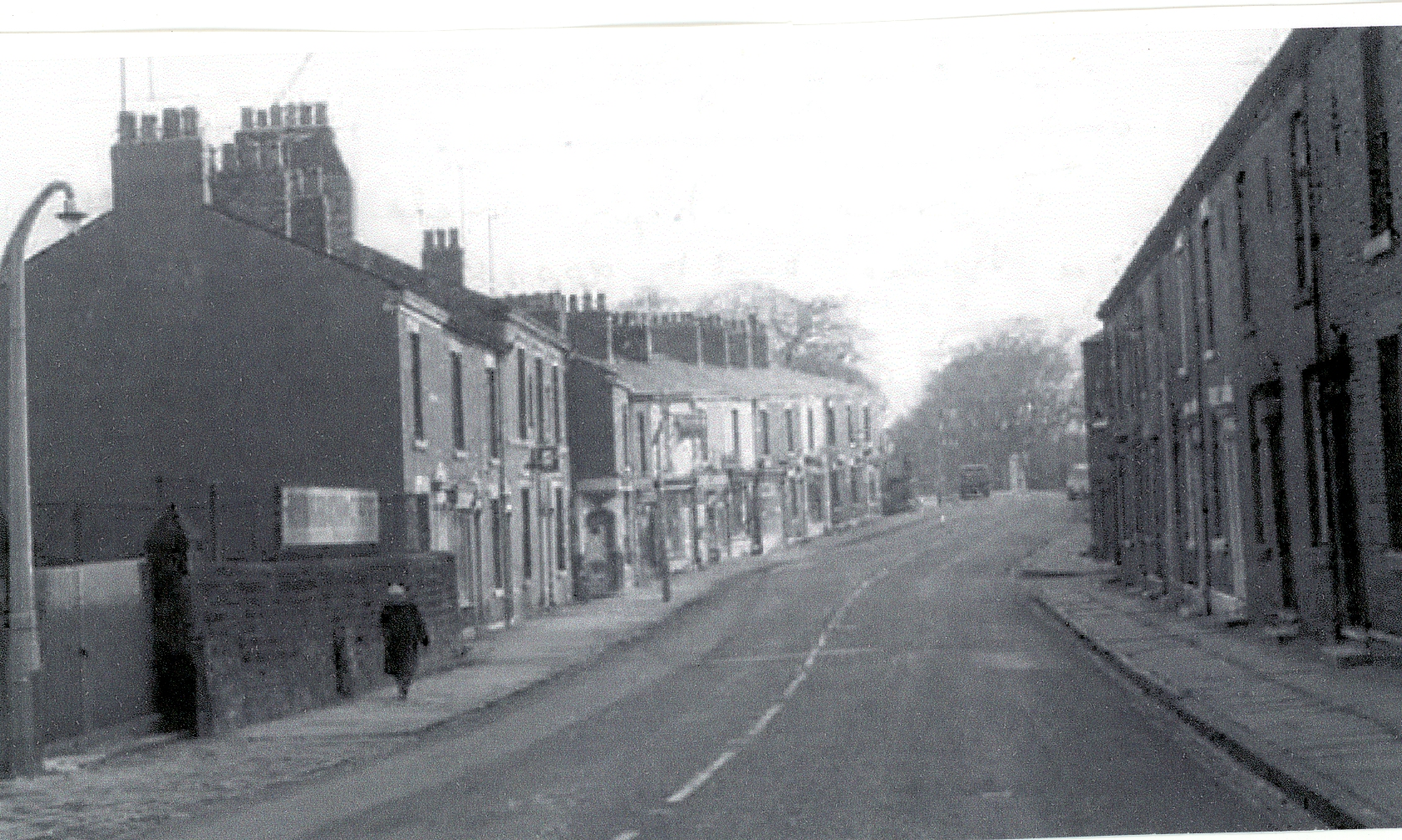 021 A Preston old Rd Cherry tree 021A ct.jpg