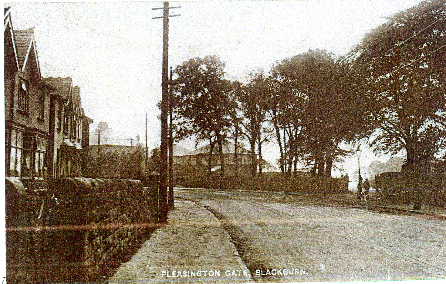 031 Pleasington Gate Cherry tree 031 CT.jpg