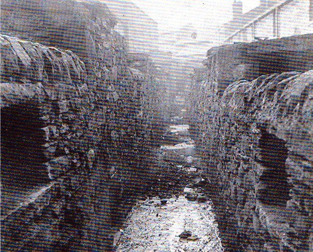 06 narrow ginne Ewoodl 1879.jpg