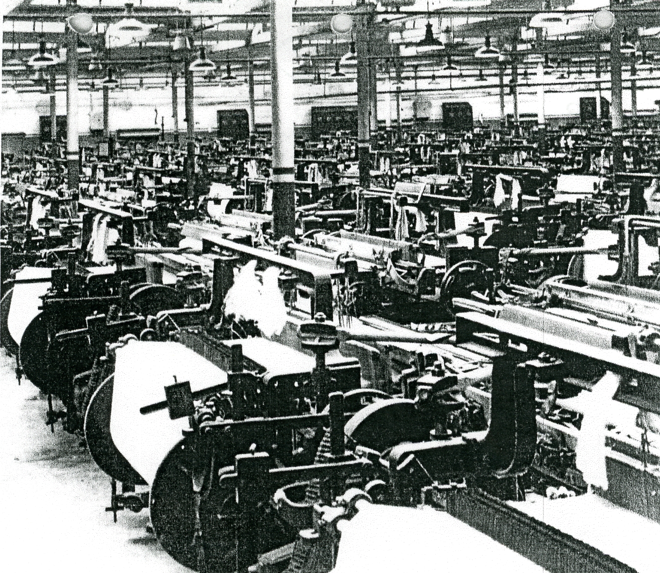 09 A looms 09A CT.jpg