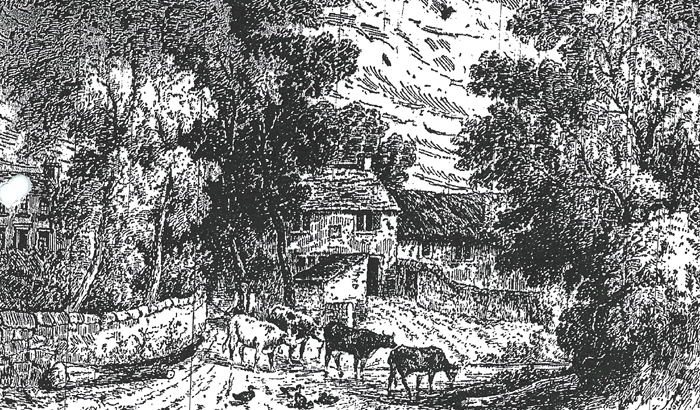 3 Shear Bank fold and Farmhouse.jpg