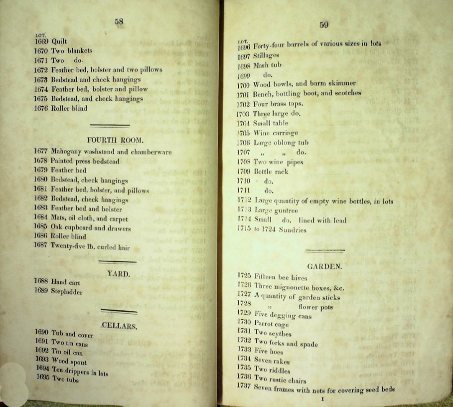 Image 30.jpg