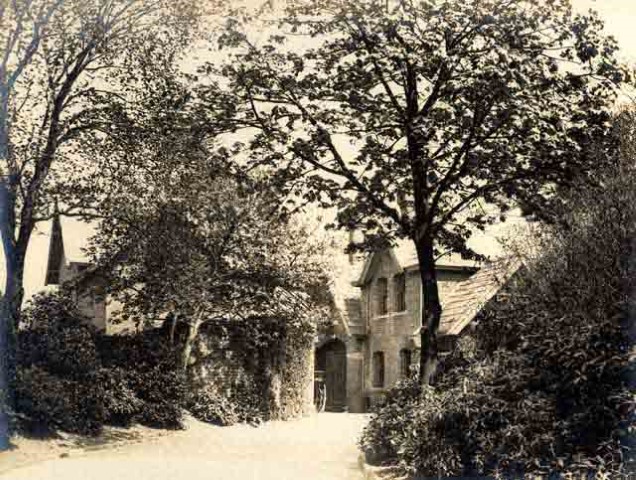 Picture