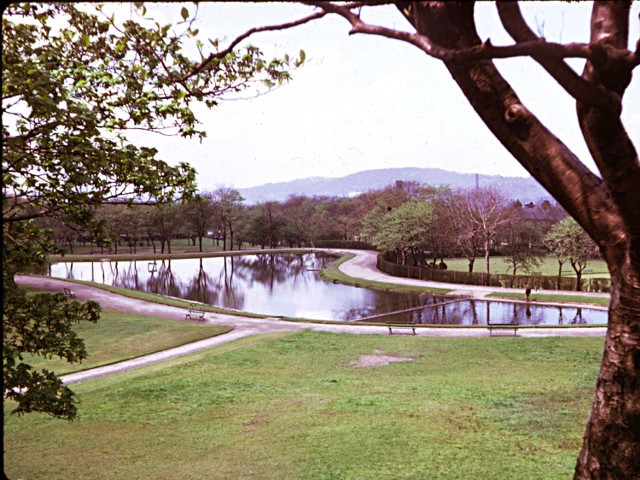 Picture