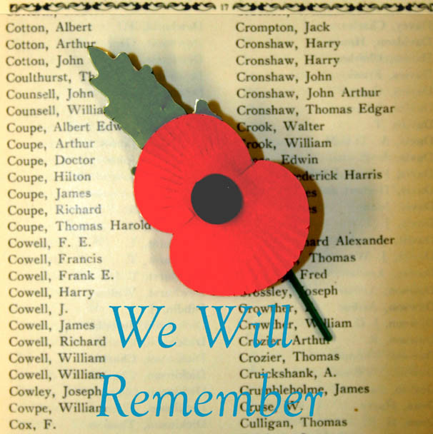 poppy front page done1.jpg