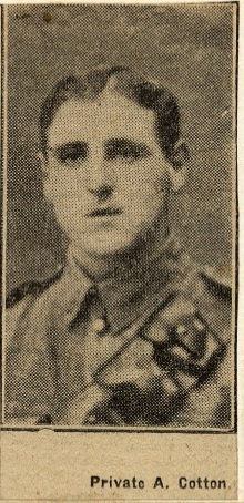 A Cotton.jpg