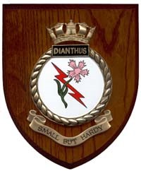 Image 1.jpg