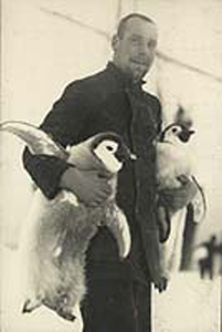Penguins.jpg