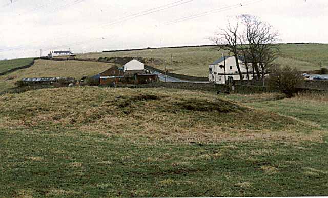 Picture08.jpg