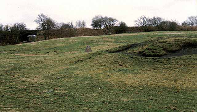 Picture10.jpg