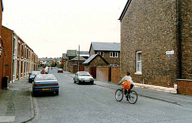 Picture15.jpg