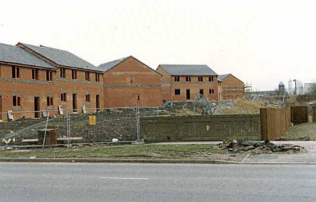 Picture17.jpg