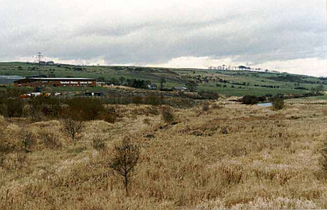 Picture18.jpg
