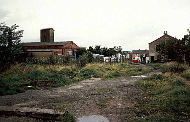 Picture52.jpg