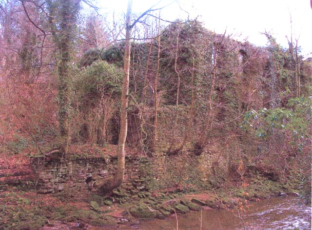 WalkMill5.jpg