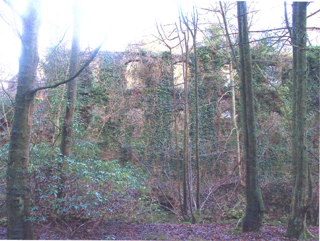 walkmill6.jpg