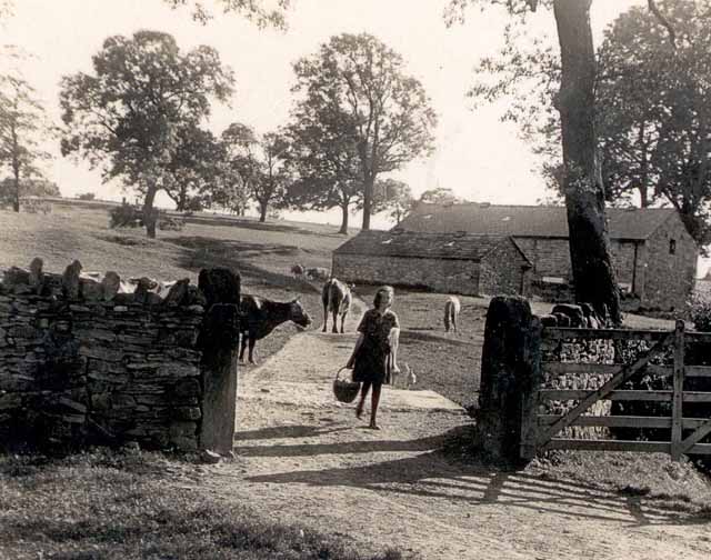 Farm at Downham.jpg