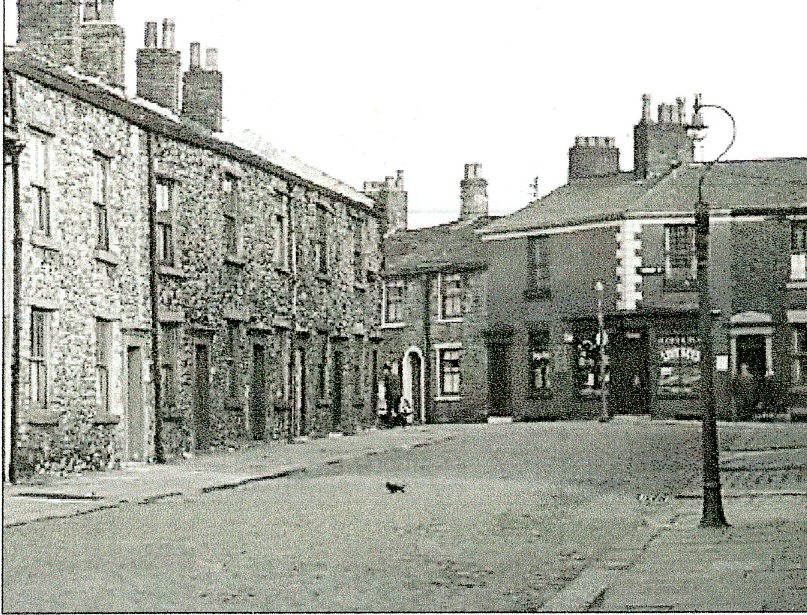 Image 11.jpg