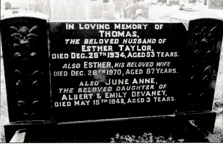 Image 19.jpg