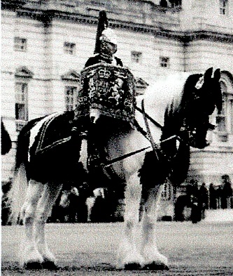 Image 27.jpg