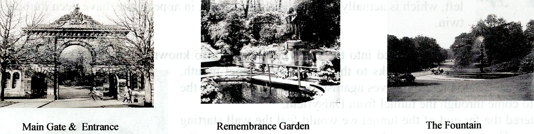 Image 33, 34, 35.jpg