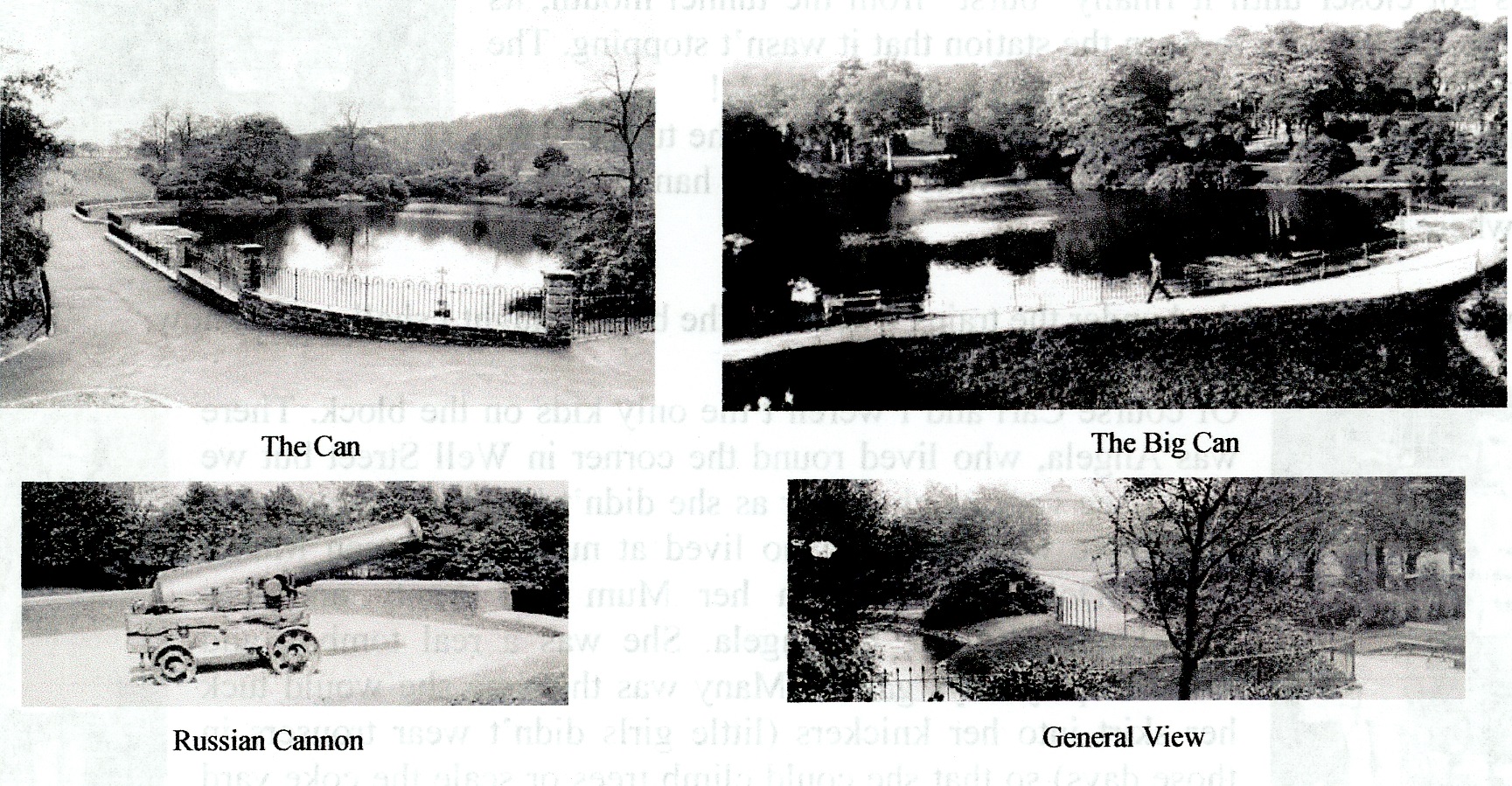 Image 36, 37, 38, 39.jpg
