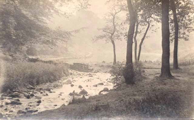 Misty brookSunnyhurst Wood Darwen.jpg
