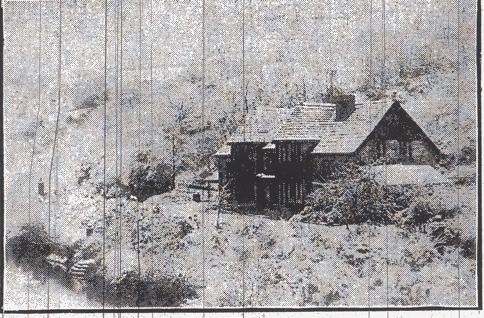 Sunnyhurst wood.jpg