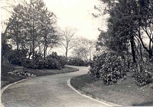 jWinding Path.jpg