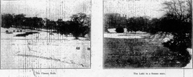 winter Snow 1.jpg