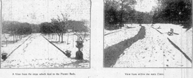 winter Snow.jpg