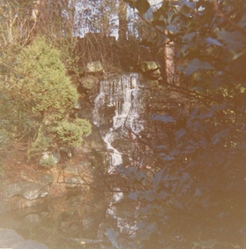 Waterfall Corporation Park.jpg