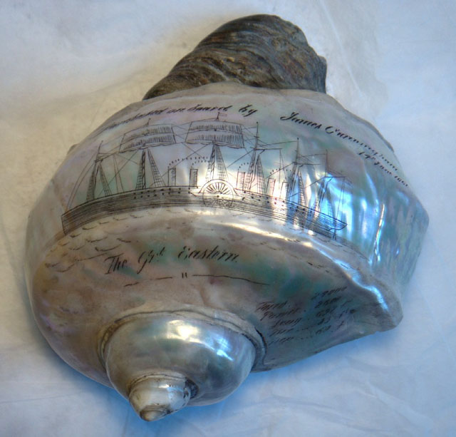 Great Eastern Souvenir Shell.JPG