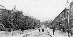06b dukes Brow 008 on CT.jpg