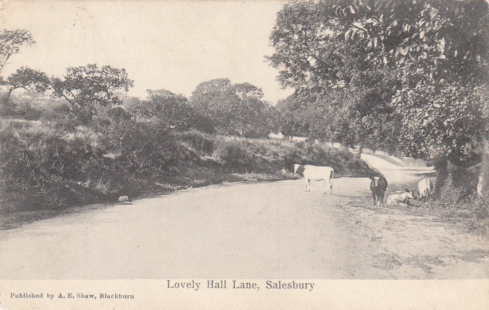 08 Lovely hall Salesbury.jpg